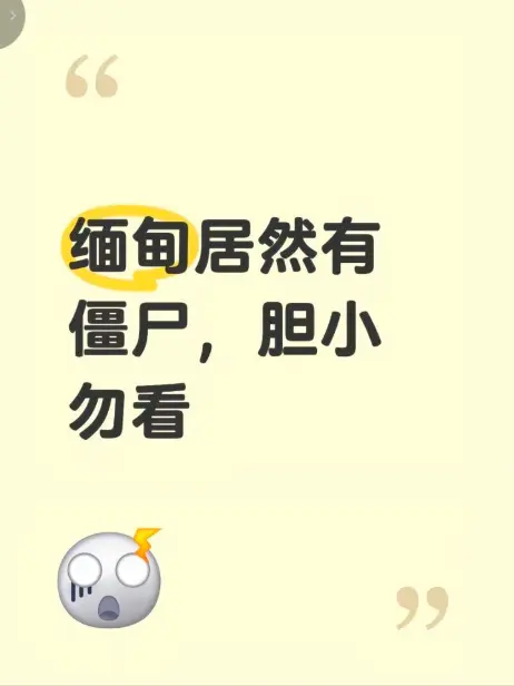 《缅甸僵尸出土事件》高清无删减免费播放 - 全程录像揭秘缅北神秘事件真相 - 缅甸僵尸出土事件视频最新完整版在线观看