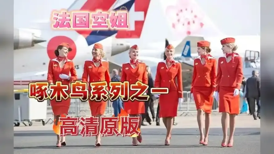 《法国空姐4》资源下载-法国空姐4完整版超高清在线观看-法国空姐全季合集免费播放